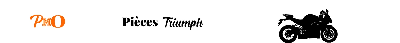 Pièces Triumph occasions pour moto d'origine et compétition