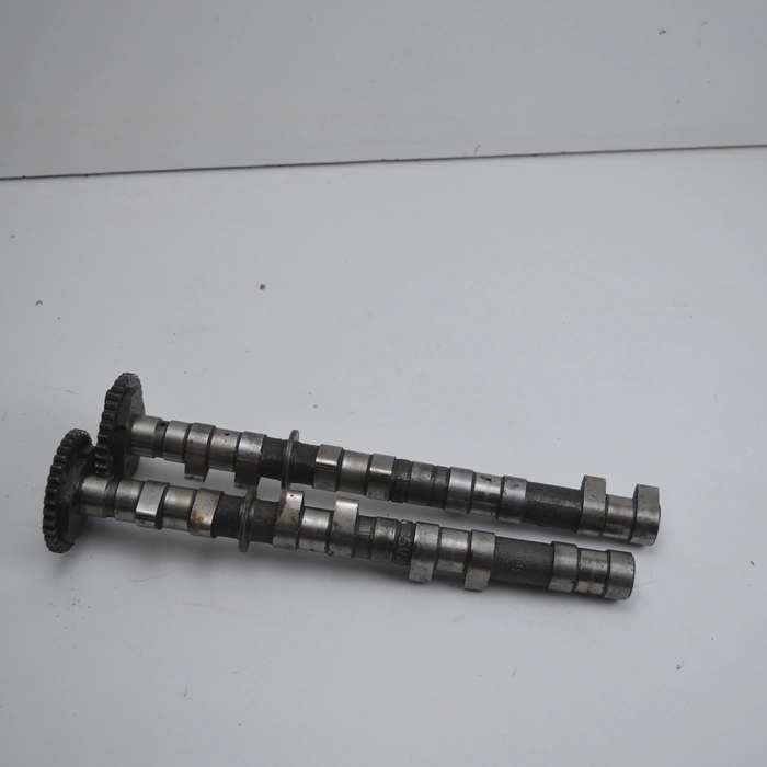 Alberi a camme in coppia Yamaha FZ6 Fazer 2004-2006