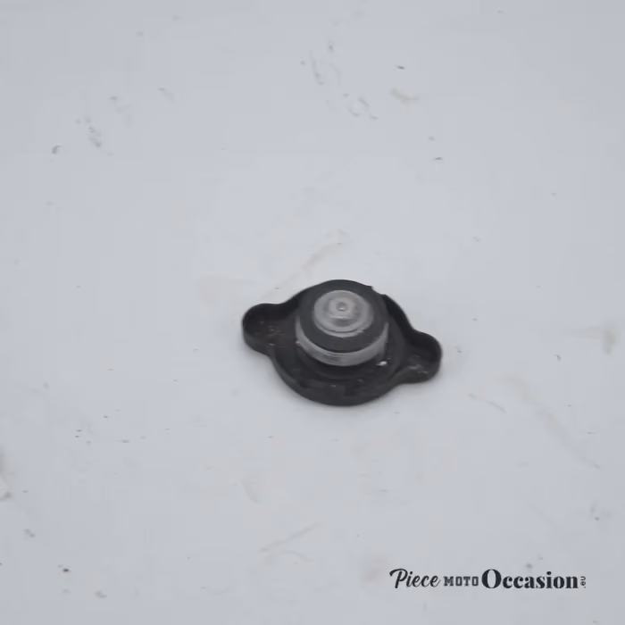 Bouchon de radiateur eau fazer de 1998 a 2001 yamaha