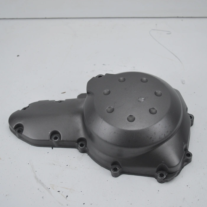 Carter d'alternatore Kawasaki Versys 650 2007-2009