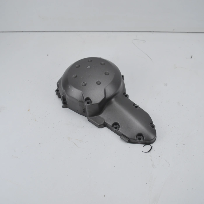 Carter d'alternatore Kawasaki Versys 650 2007-2009