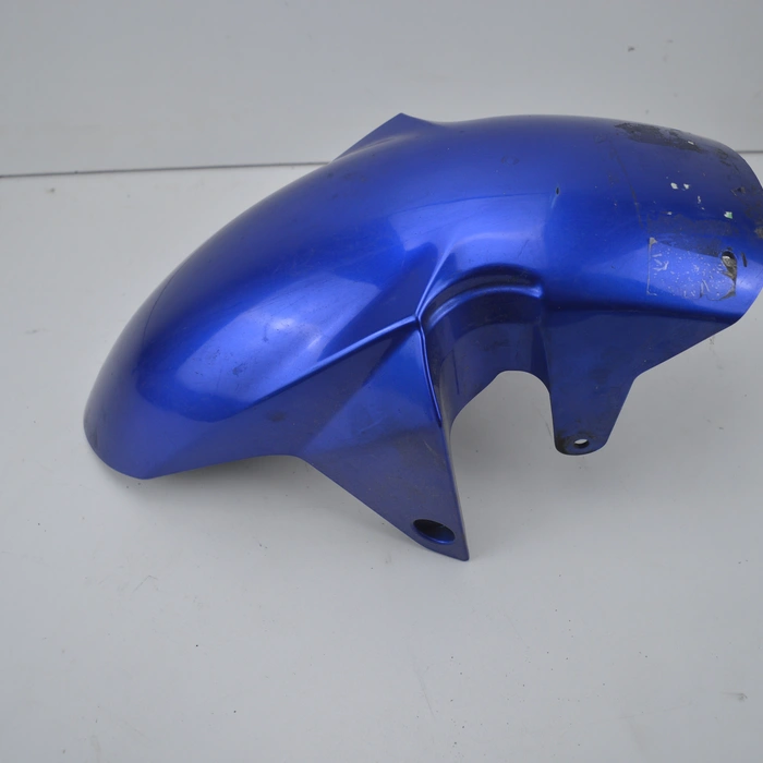 Suzuki SV 1000 2003 Schutzblech vorne 1000 cm³