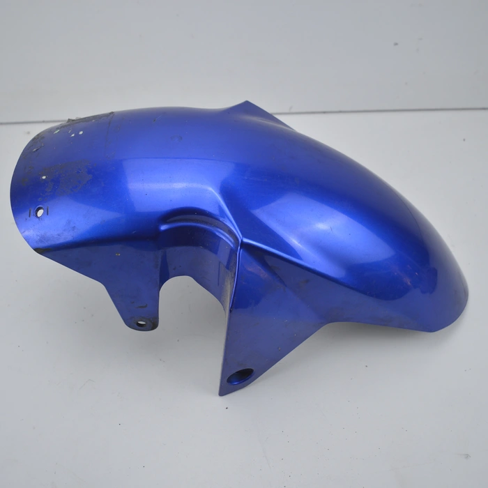 Suzuki SV 1000 2003 Schutzblech vorne 1000 cm³