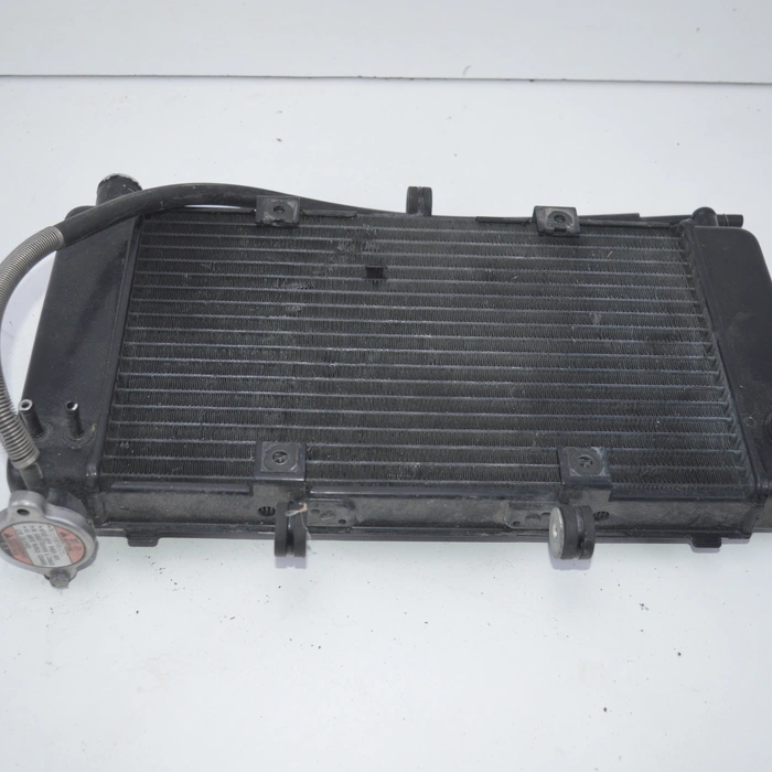 Radiatore Yamaha FZ6 2004-2006