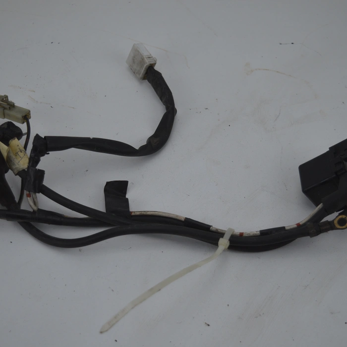 Kawasaki Versys Relais 2007-2009