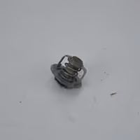 Thermostat  versys de 2007 a 2009 kawasaki