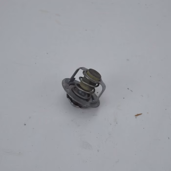 Thermostat versys de 2007 a 2009 kawasaki